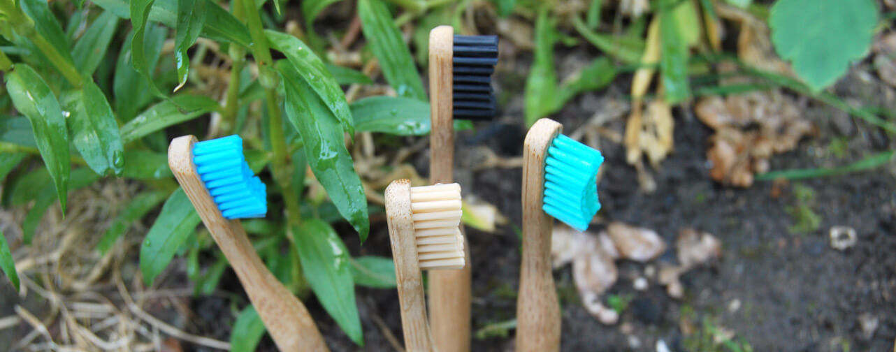 Bamboo toothbrush